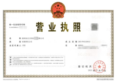 深圳食品貿(mào)易公司注冊(cè),在龍崗區(qū)核心要解決無地址這一問題